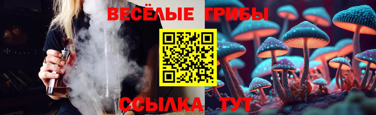 Псилоцибиновые грибы Psilocybine cubensis  Галлюциногенные грибы мицелий  Вход с VPN  Канск 